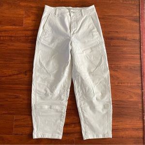 Everlane Utility Barrel Pant